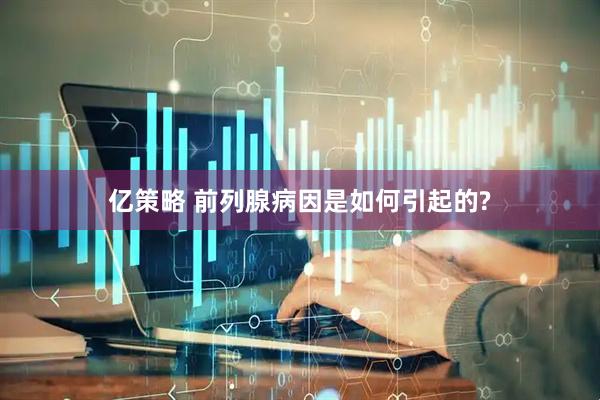 亿策略 前列腺病因是如何引起的?